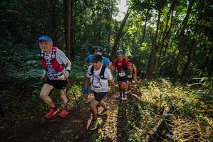 BIB: 
                            <button type="button" onclick="openModal(22544513)" class="btn btn-primary btn-sm float-right btn-popup" data-toggle="modal" data-target=".modal-high-quality">
                        <i class="fas fa-shopping-cart"></i> Add to Cart
                    </button>
                                            <button type="button" onclick="isThisMe(22544513, true)" class="btn btn-success btn-sm float-right btn-popup btn-isme hidden" data-toggle="tooltip" data-placement="bottom" title="นี่คือรูปของคุณใช่ไหม คลิกที่นี่เพื่อเอาเข้าอัลบั้ม">
                        <i class="fas fa-plus"></i> Add to album
                    </button>
                    <button type="button" onclick="isThisMe(22544513, false)" class="btn btn-warning btn-sm float-right btn-popup btn-isnotme hidden">
                        <i class="fas fa-ban"></i> Remove from album
                    </button>